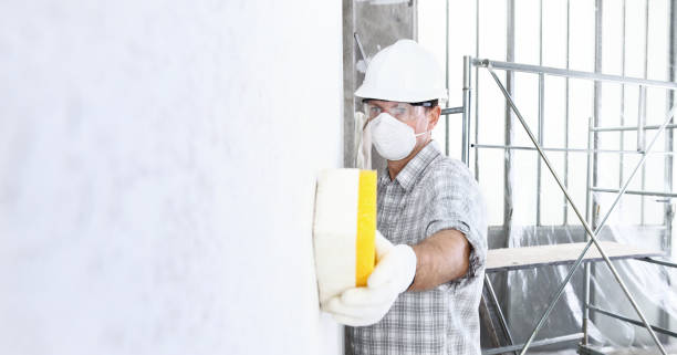 Best Emergency Mold Remediation  in Pumpkin Center, NC