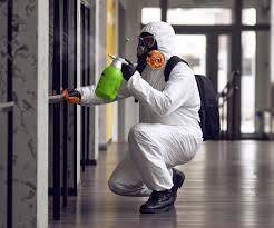 Best Mold Removal for HVAC Installations  in Pumpkin Center, NC